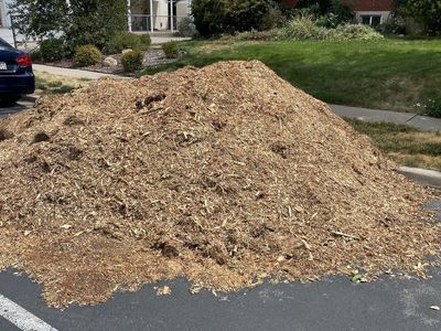 Large Pile of Mulch/Wood Chips