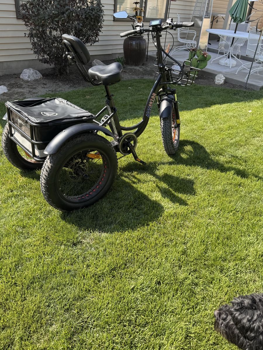 E-trike