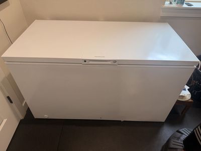 Deep Freezer Cold Plunge