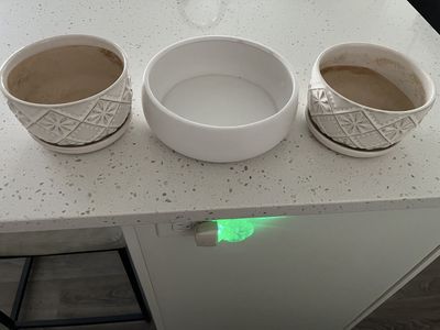 Ceramic Flower Pots