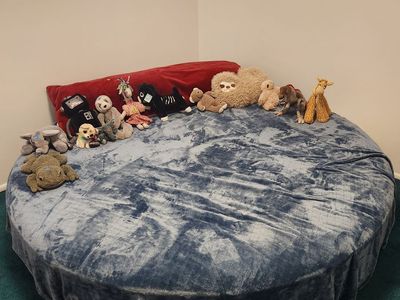 Round bed - FREE