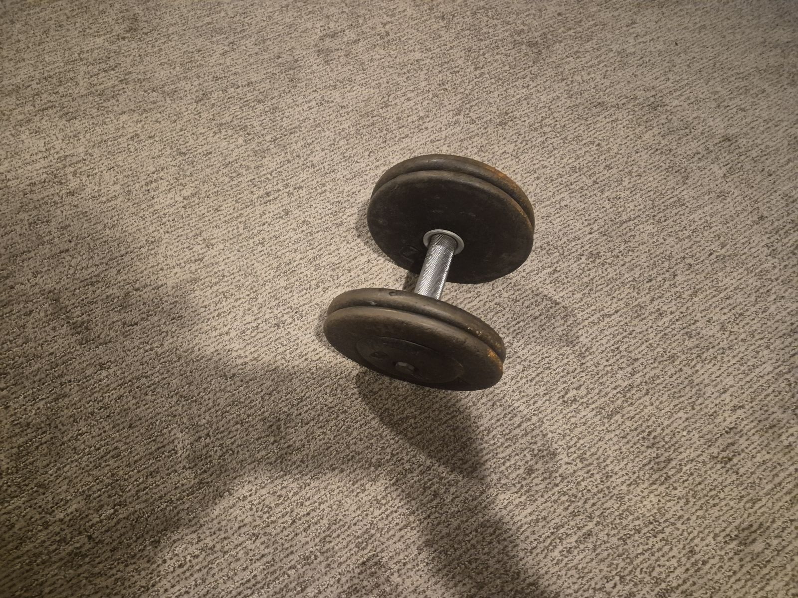 Single 40lb Dumbbell