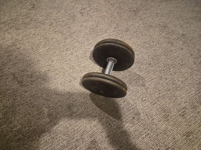 Single 40lb Dumbbell