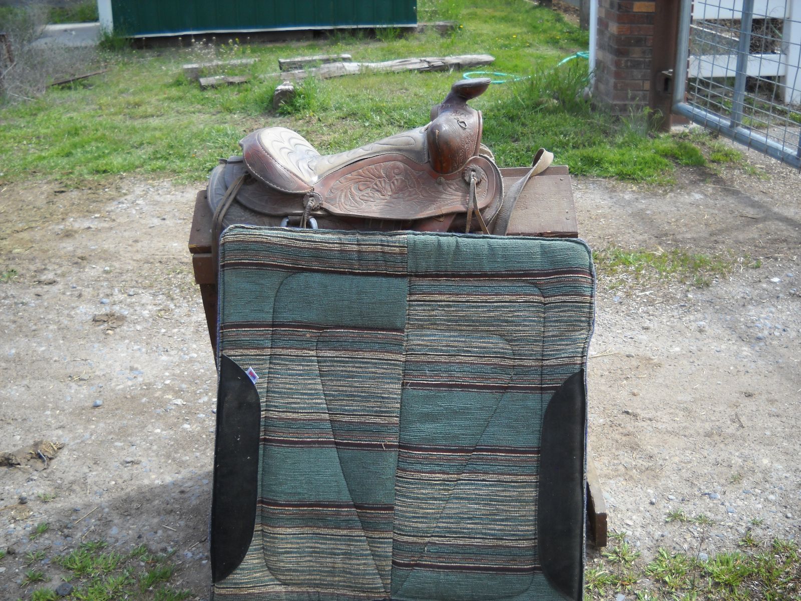 saddle and pad