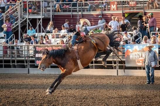 Fiesta Days Rodeo - July 24th