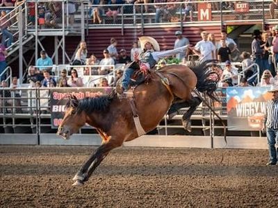 Fiesta Days Rodeo - July 24th