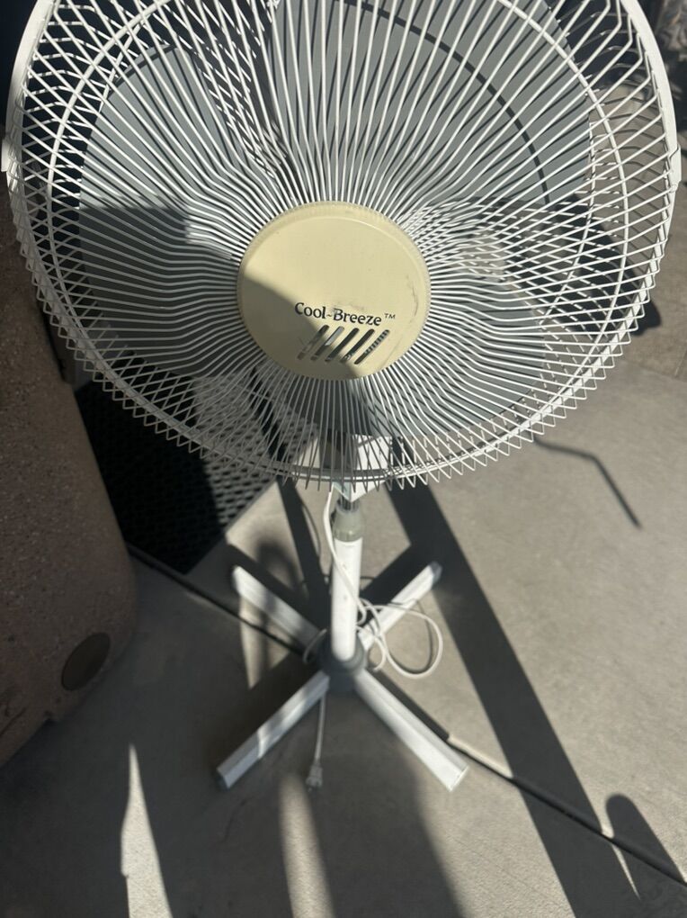 Cool Breeze Fan