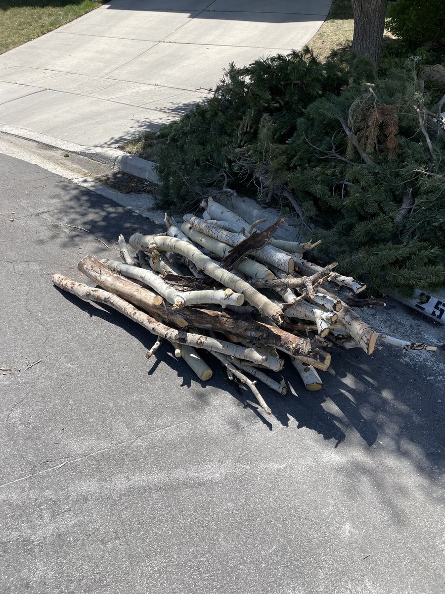 FREE FIREWOOD