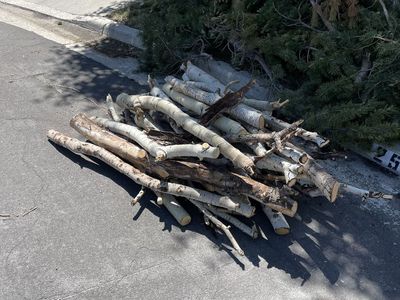 FREE FIREWOOD