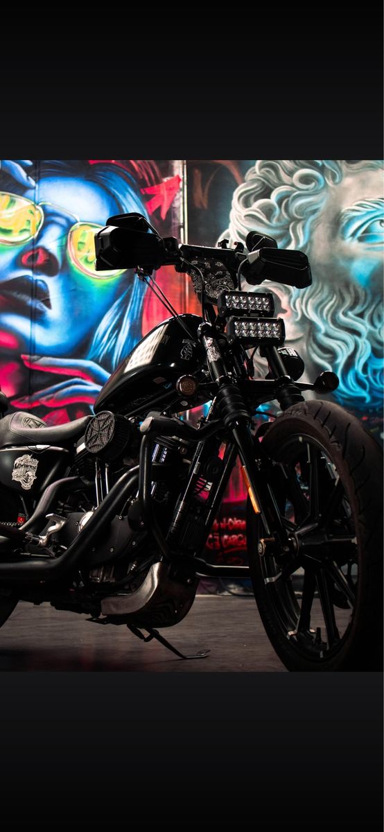 2017 Harley Davidson Sportster Iron XL883
