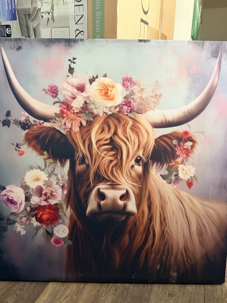 New. Cute Highland Cow 36 x 36“.Framed