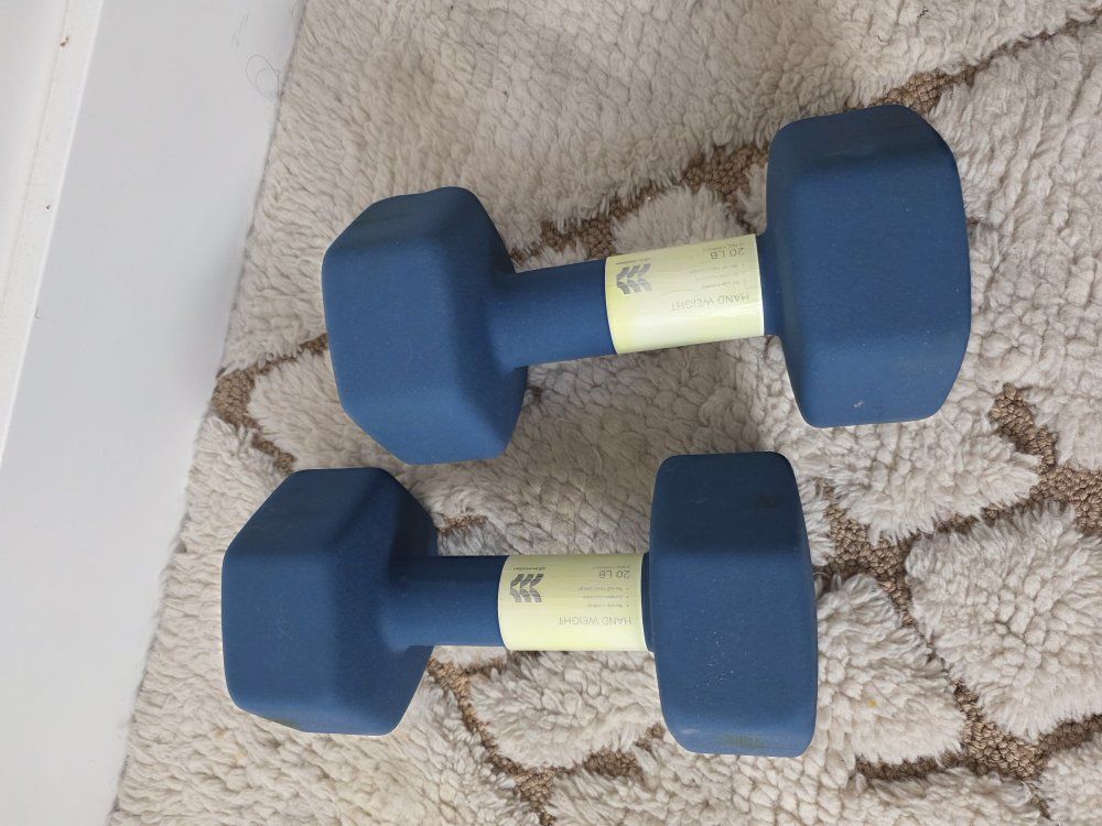 All in Motion 20 LB Dumbbells (Pair) - Blue Hex Hand Weights