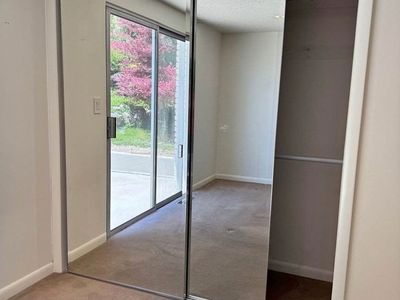 Large mirror doors