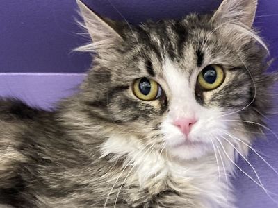 Hello my name is Bess