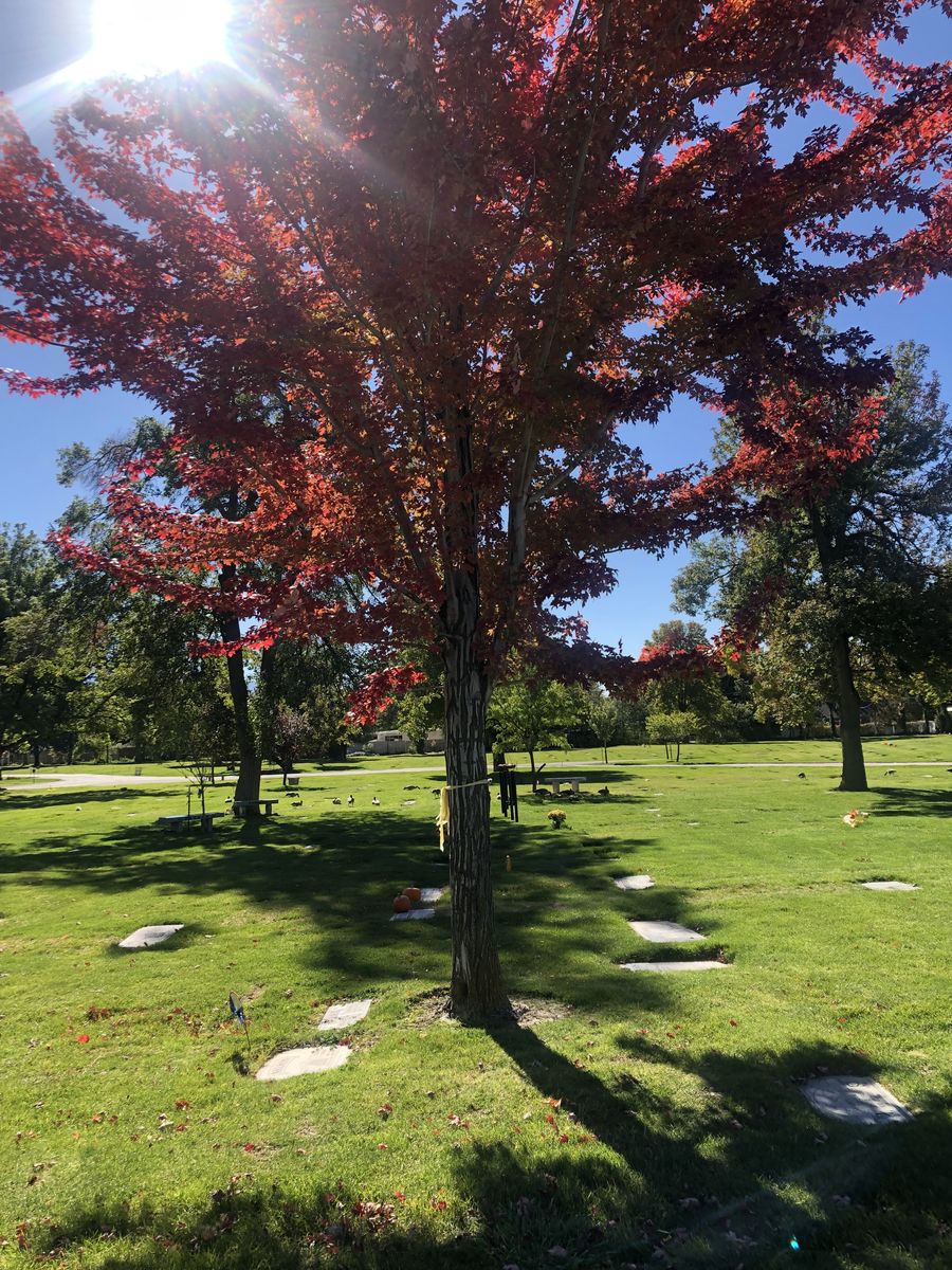 2 Wasatch Lawn Burial Plots