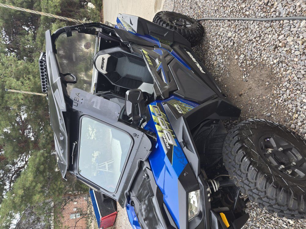 2017 RZR
