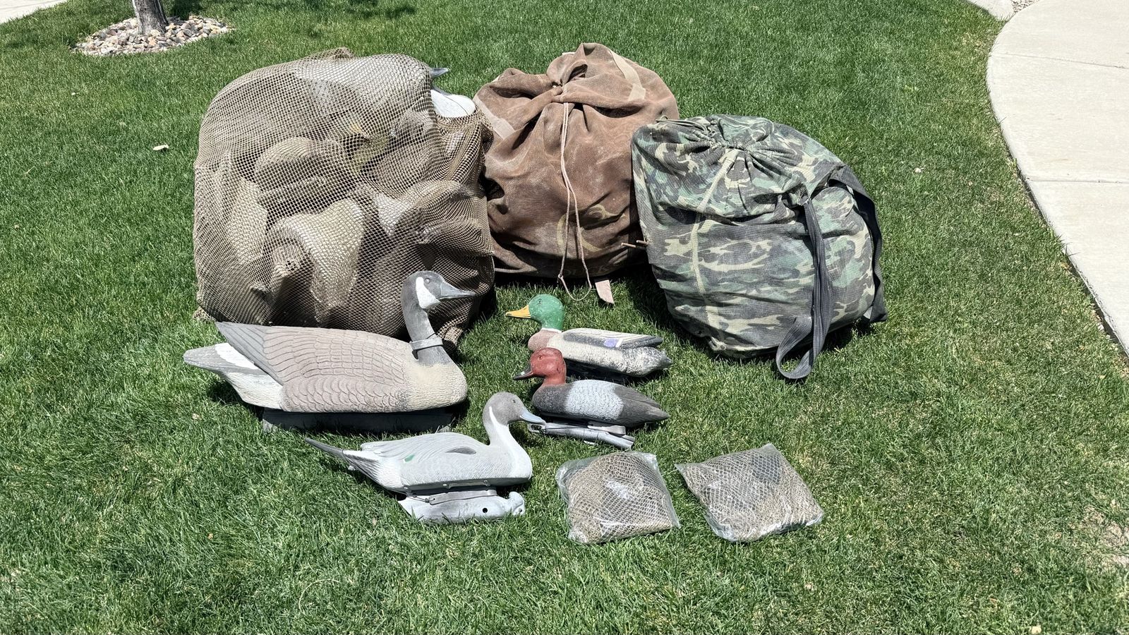 Decoys, ducks and geese