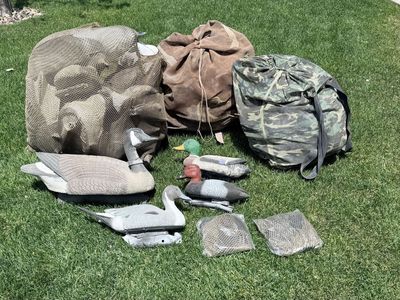 Decoys, ducks and geese