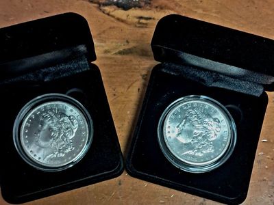 Morgan Silver Dollars in Protective Case with Display Box