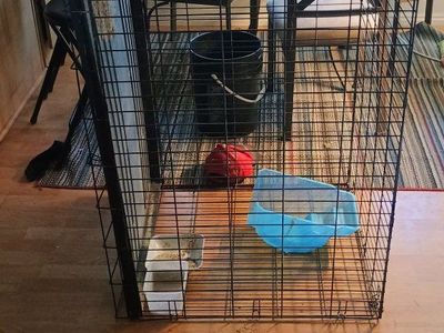 xl collapsible dog crate