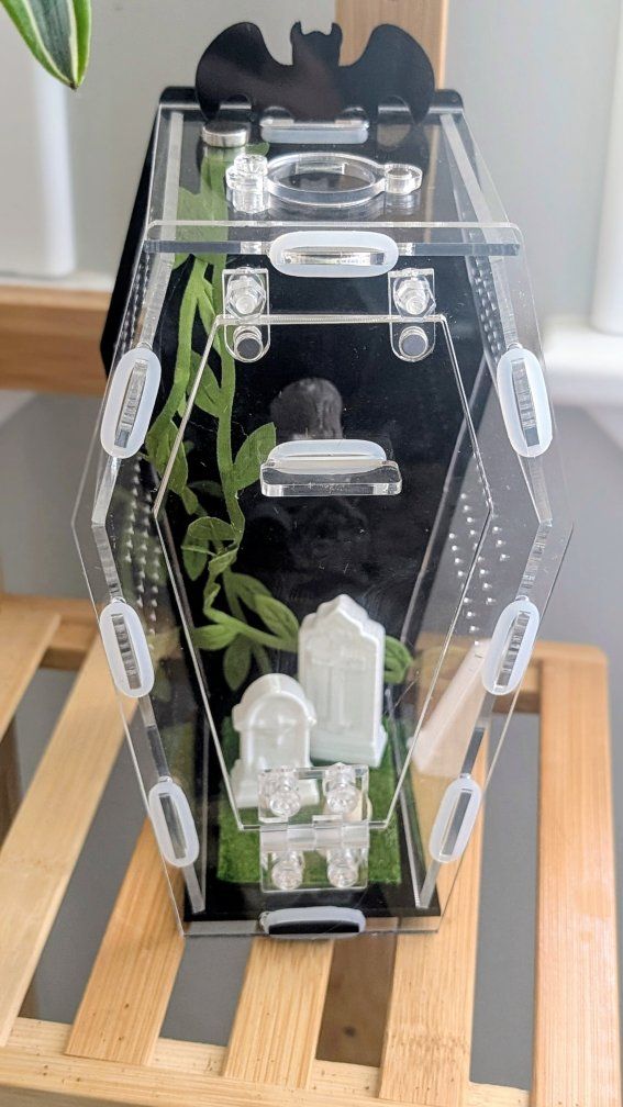 Coffin jumping spider enclosure, jumping spider terrarium, spider house and accessories. No spider