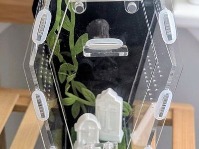 Coffin jumping spider enclosure, jumping spider terrarium, spider house and accessories. No spider