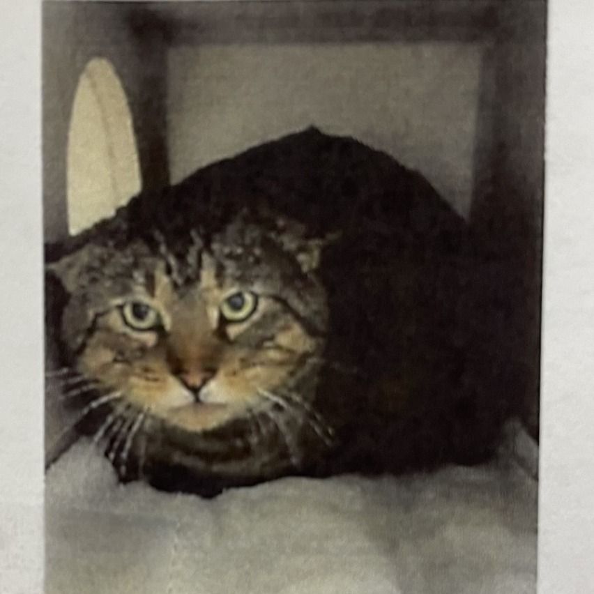 Hello my name is "Butch Cassidy"