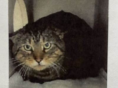 Hello my name is "Butch Cassidy"