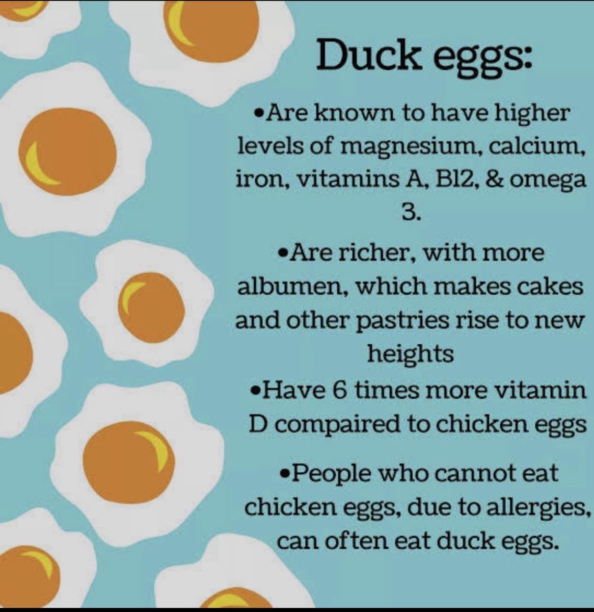 Farm fresh duck eggs