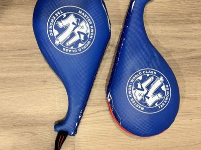 2 Martial arts kick pads