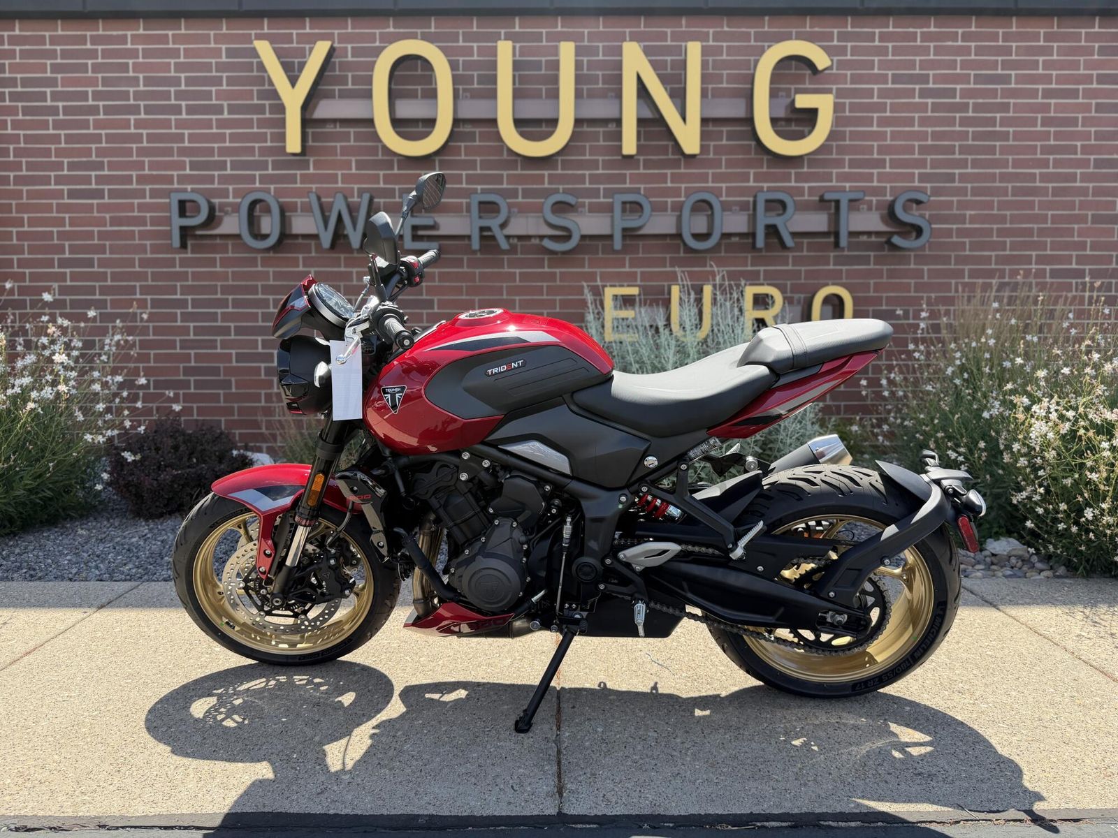 2026 Triumph Trident 800