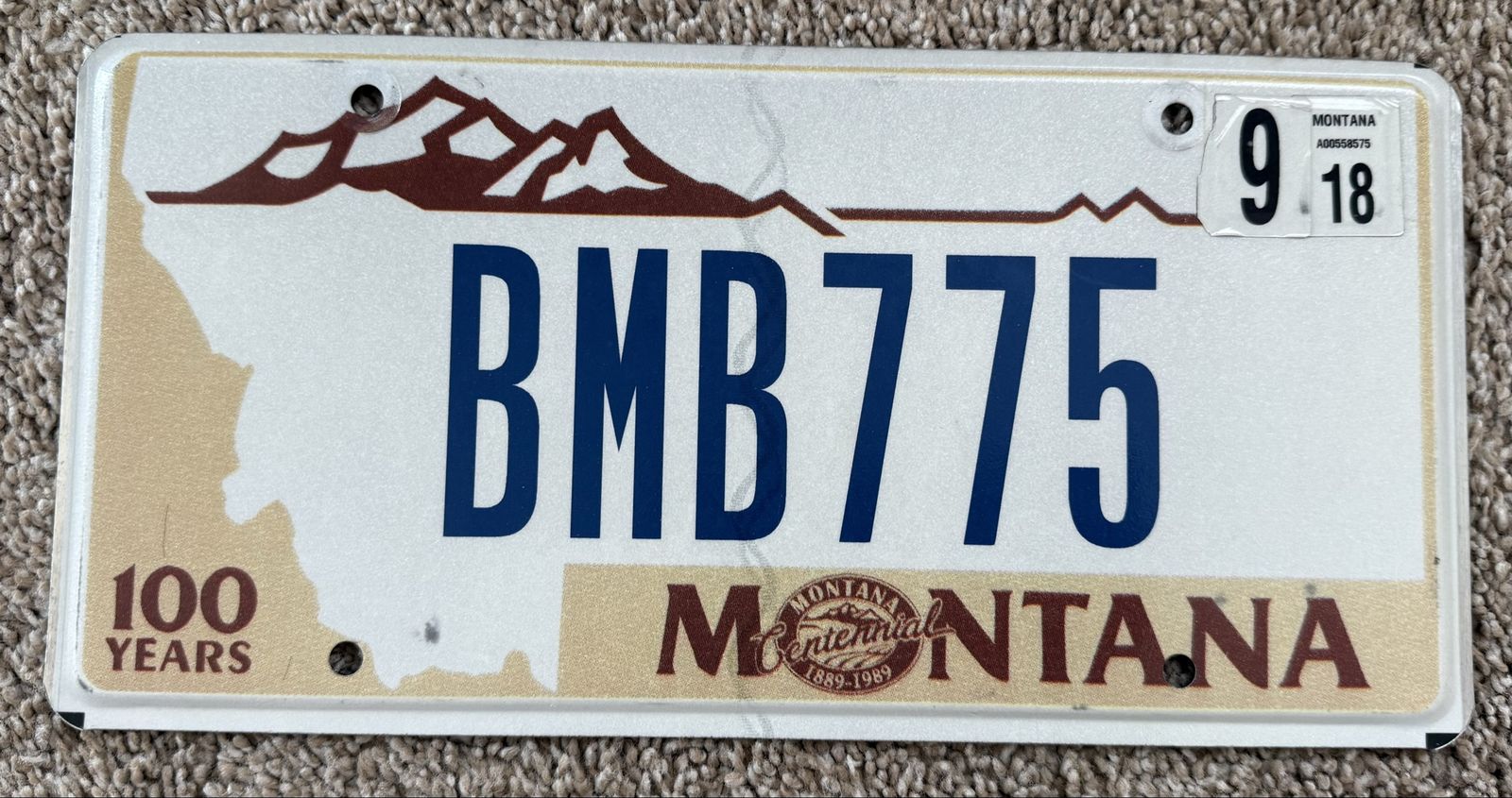 Expired Montana License Plate