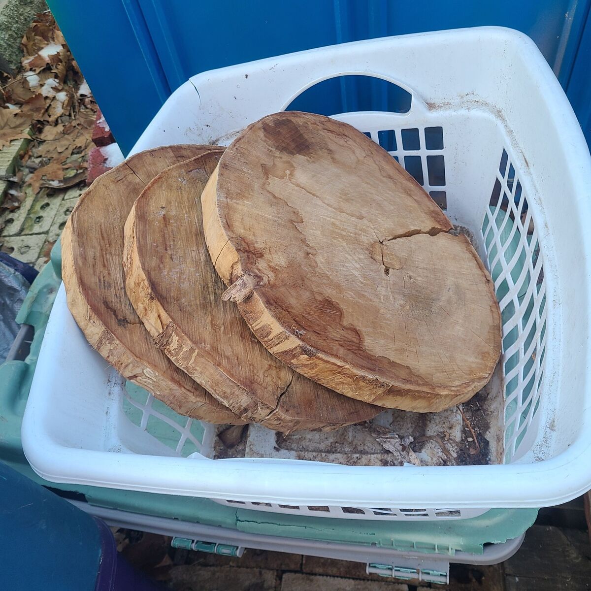 Cottonwood Round Cookies, $10.00 each