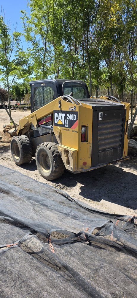 2018 Caterpillar 246D Skid Steer Loader