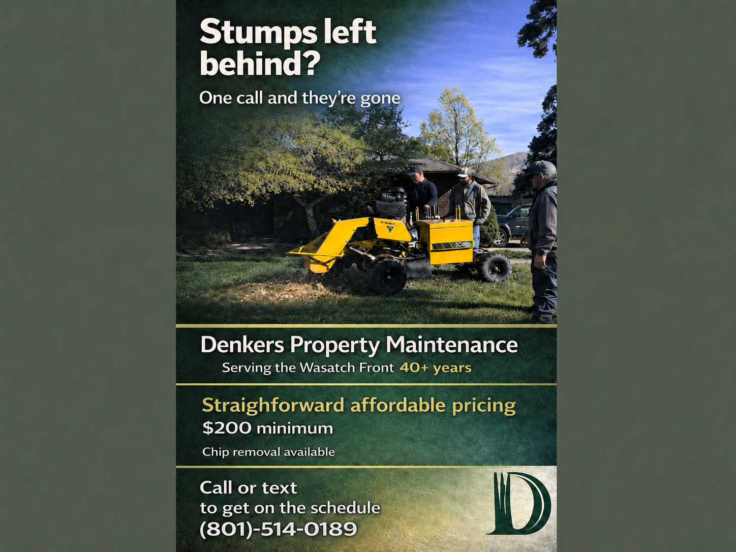 Stump Grinding | Stump Removal | Local 40+ Years