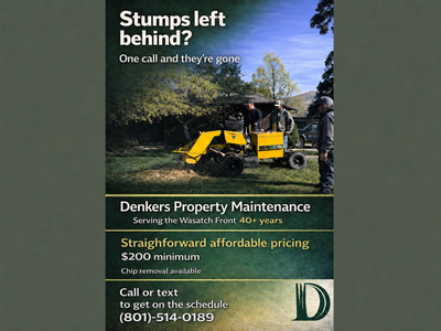 Stump Grinding | Stump Removal | Local 40+ Years