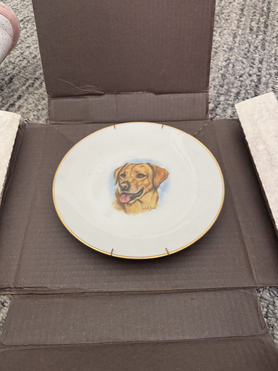 Yellow Lab Edwin MKnowles plate