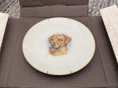 Yellow Lab Edwin MKnowles plate