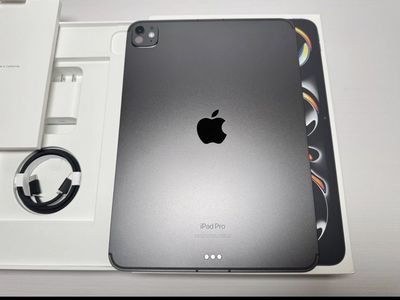 iPad Pro 11in 256GB WiFi/Cellular