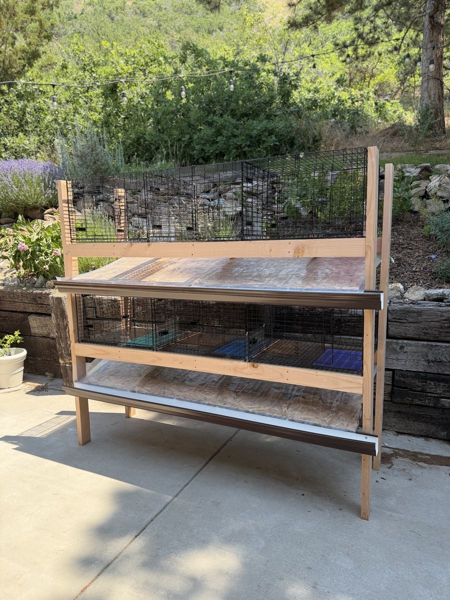 Custom Rabbit/Small Animal Cages