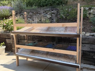 Custom Rabbit/Small Animal Cages
