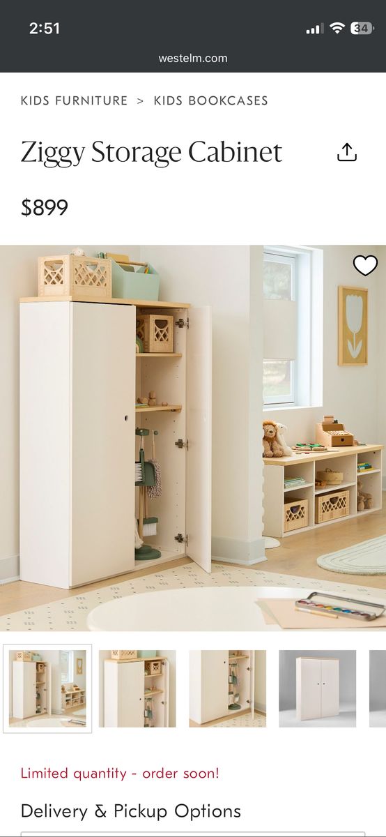 West Elm Ziggy Storage Cabinet