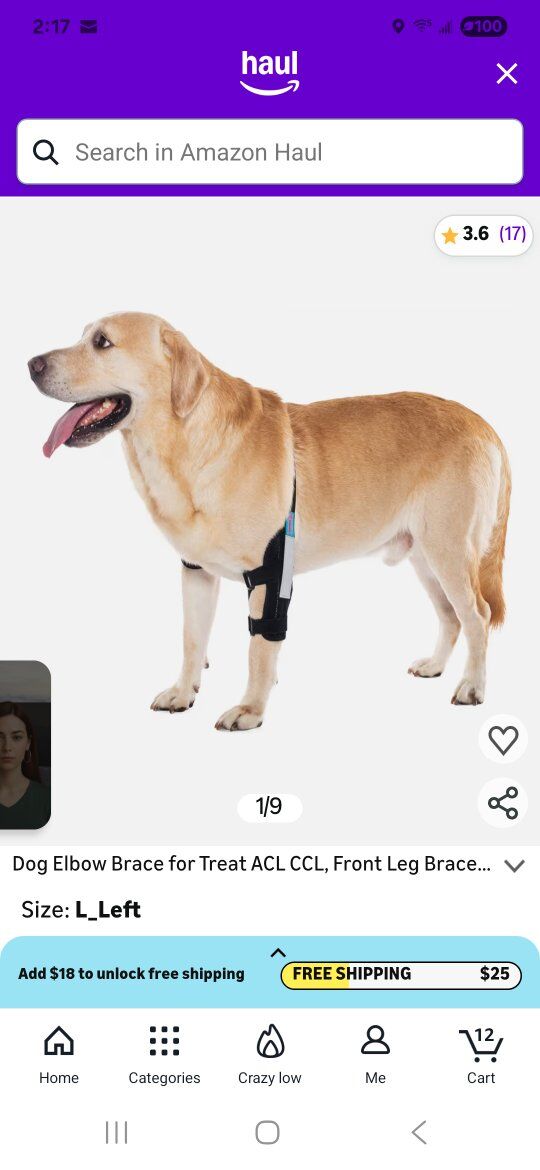 leg brace for large dog