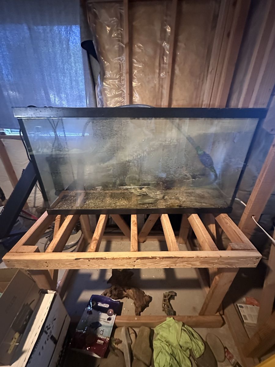 90 gallons fish tanks
