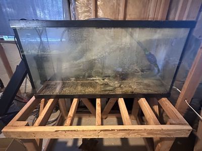 90 gallons fish tanks