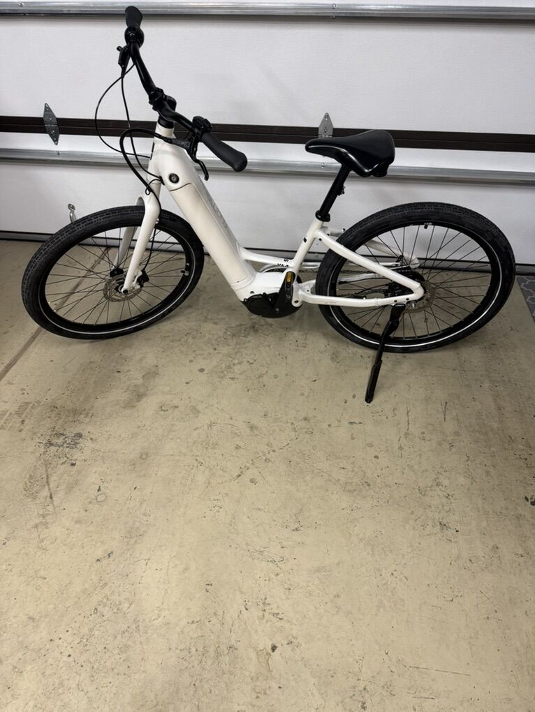 Giant Momentum Ebike