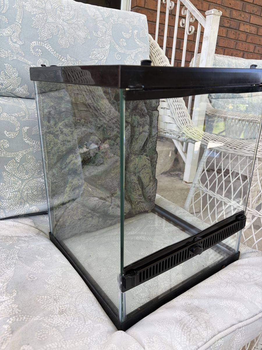 Main image 4