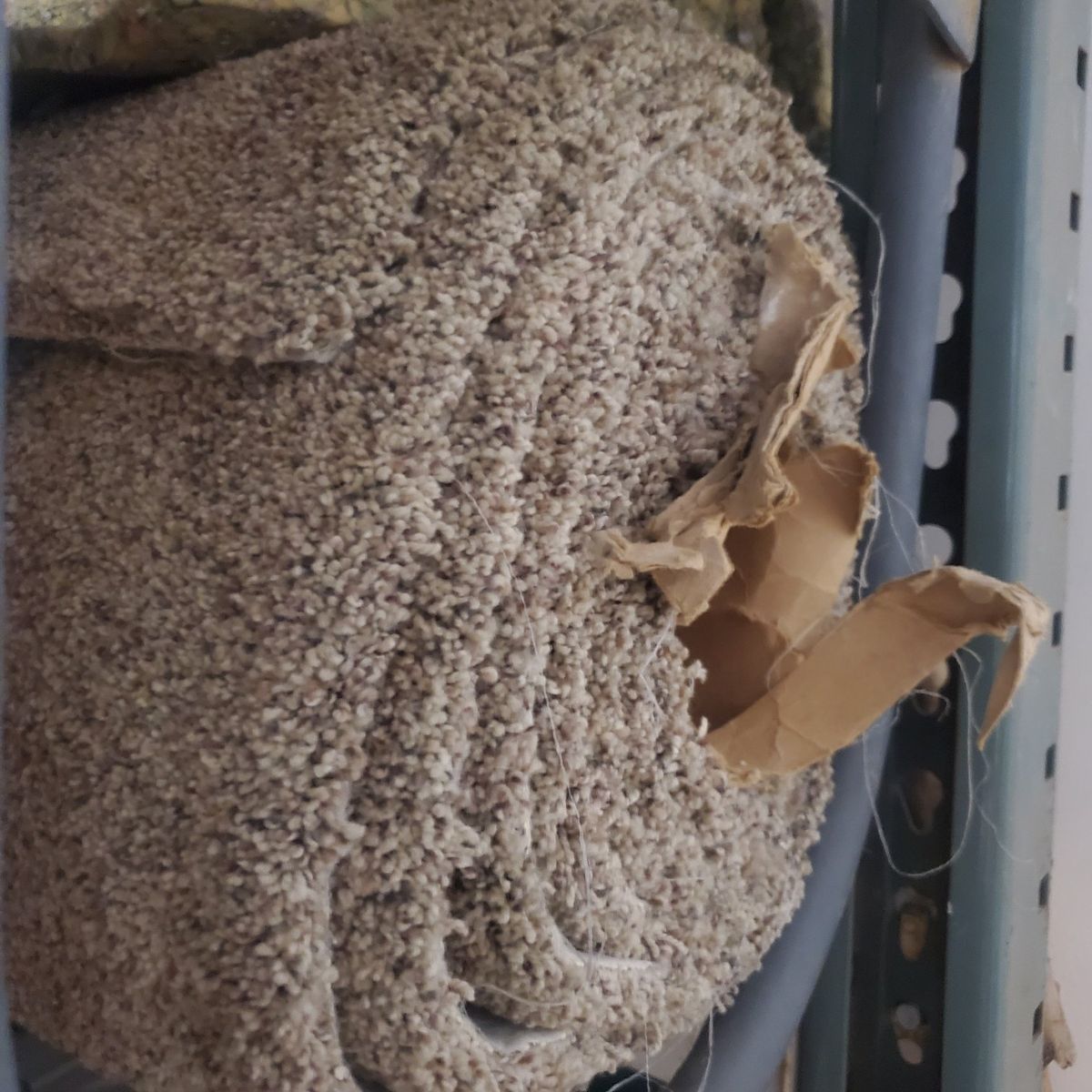 High quality carpet