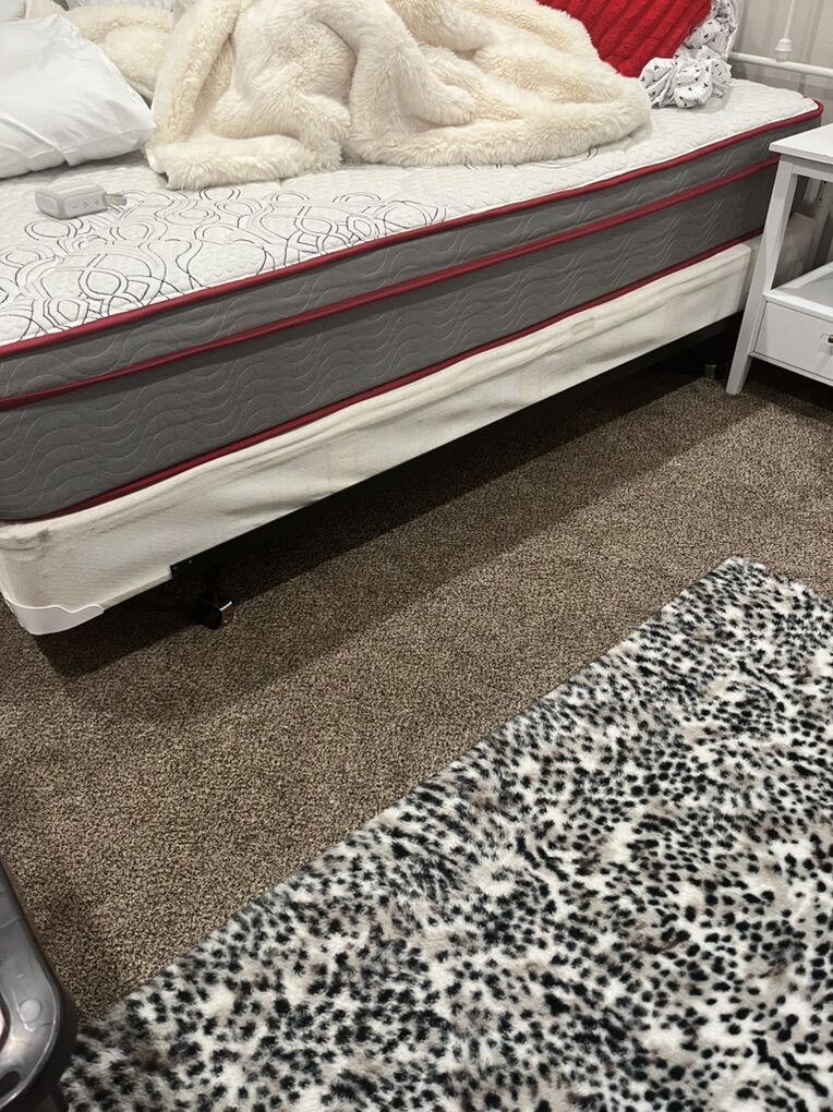 Queen size bed fraim and box spring.