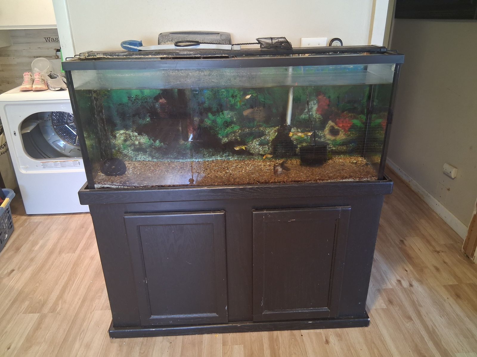 55 gallon aquarium with stand
